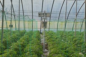 智慧大棚