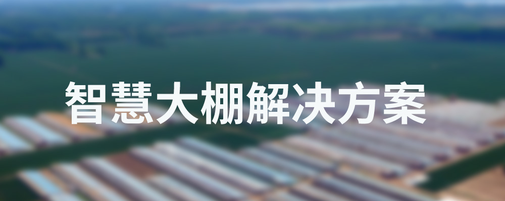 乡村振兴