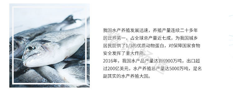 智慧水产