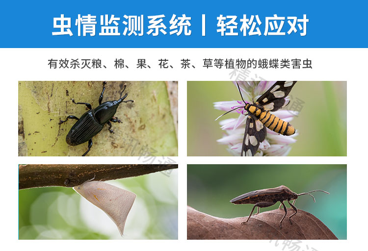 虫情测报灯