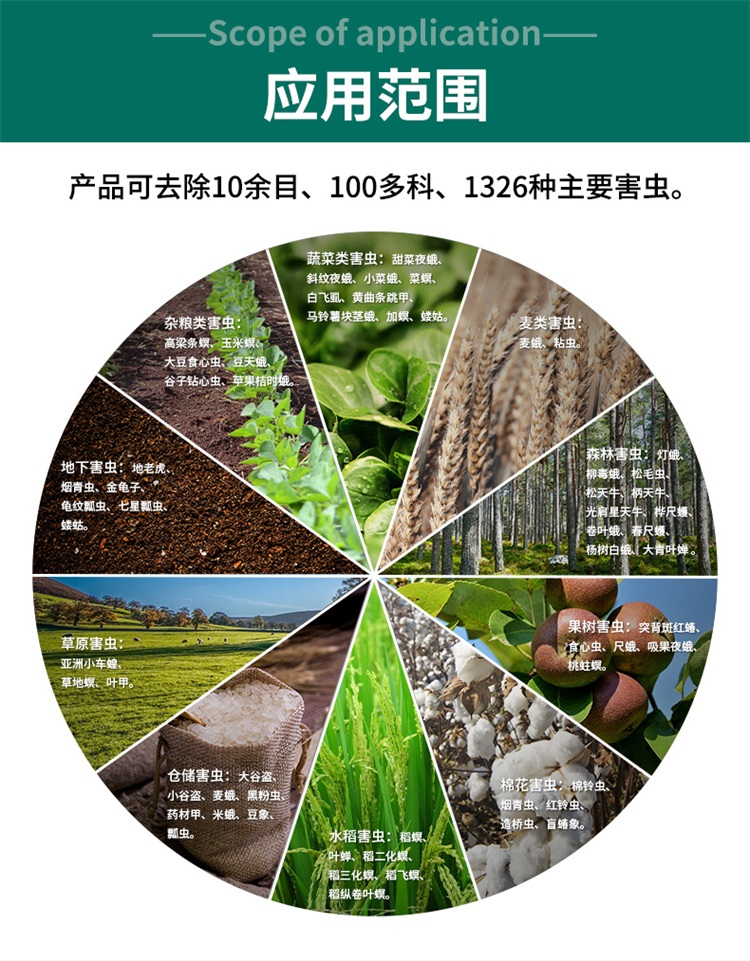 杀虫灯