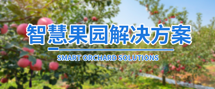 智慧果园