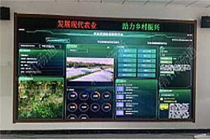 数字乡村