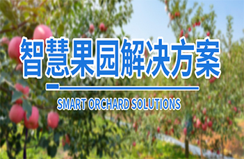 智慧果园解决方案