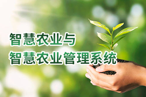智慧农业与智慧农业管理系统