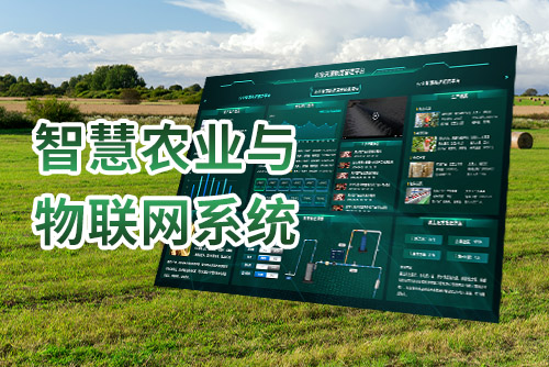 智慧农业与物联网系统