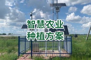智慧农业