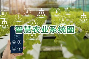智慧农业