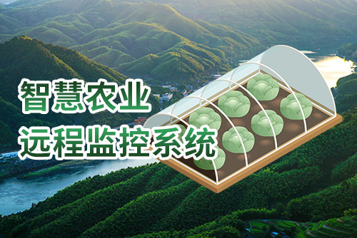 智慧农业远程监控系统