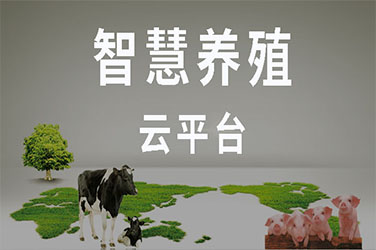 智慧养殖云平台